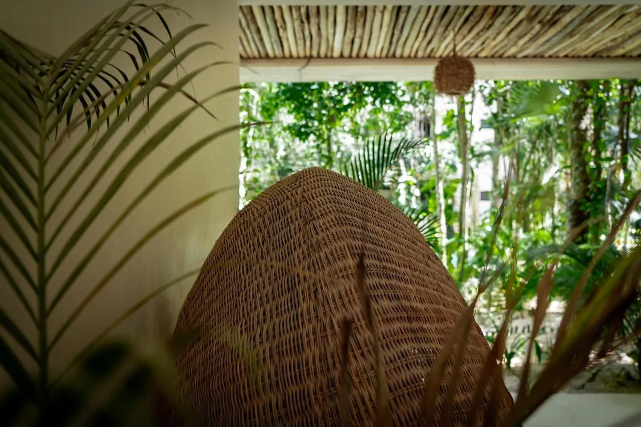 Apartmán Casai - Boho-Chic Penthouse With Private Pool In La Veleta Tulum Mexiko