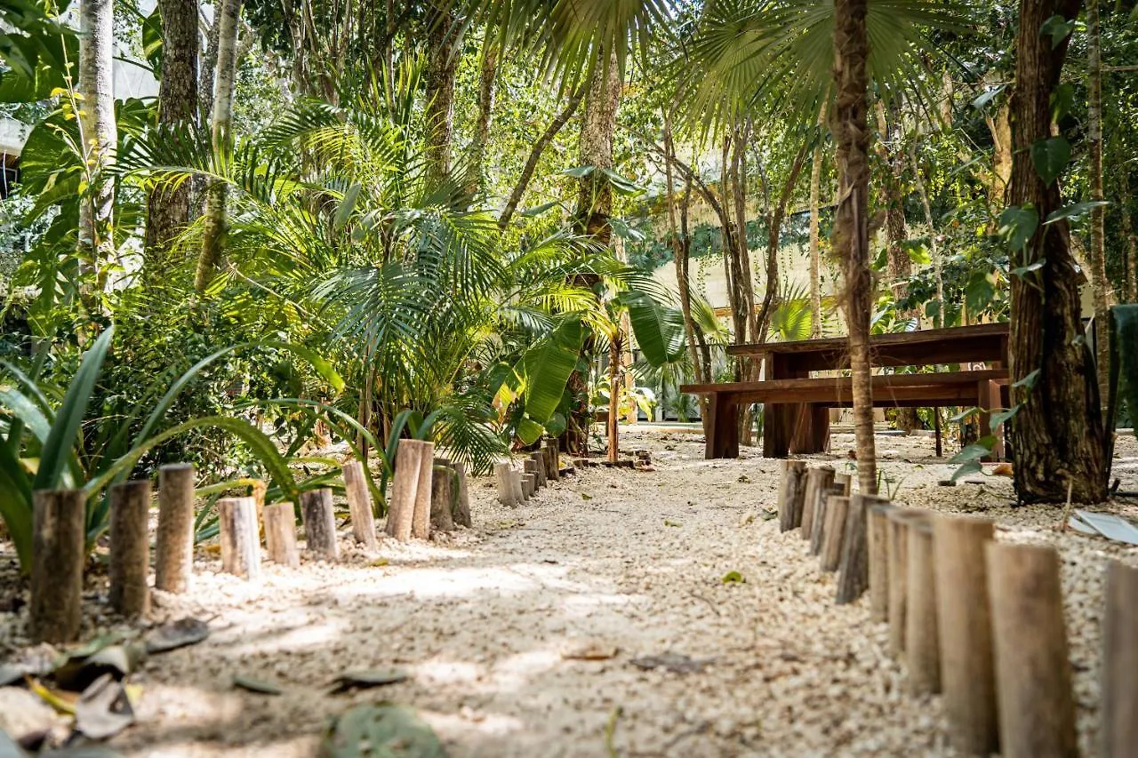 Apartmán Casai - Boho-Chic Penthouse With Private Pool In La Veleta Tulum 0*,  Mexiko