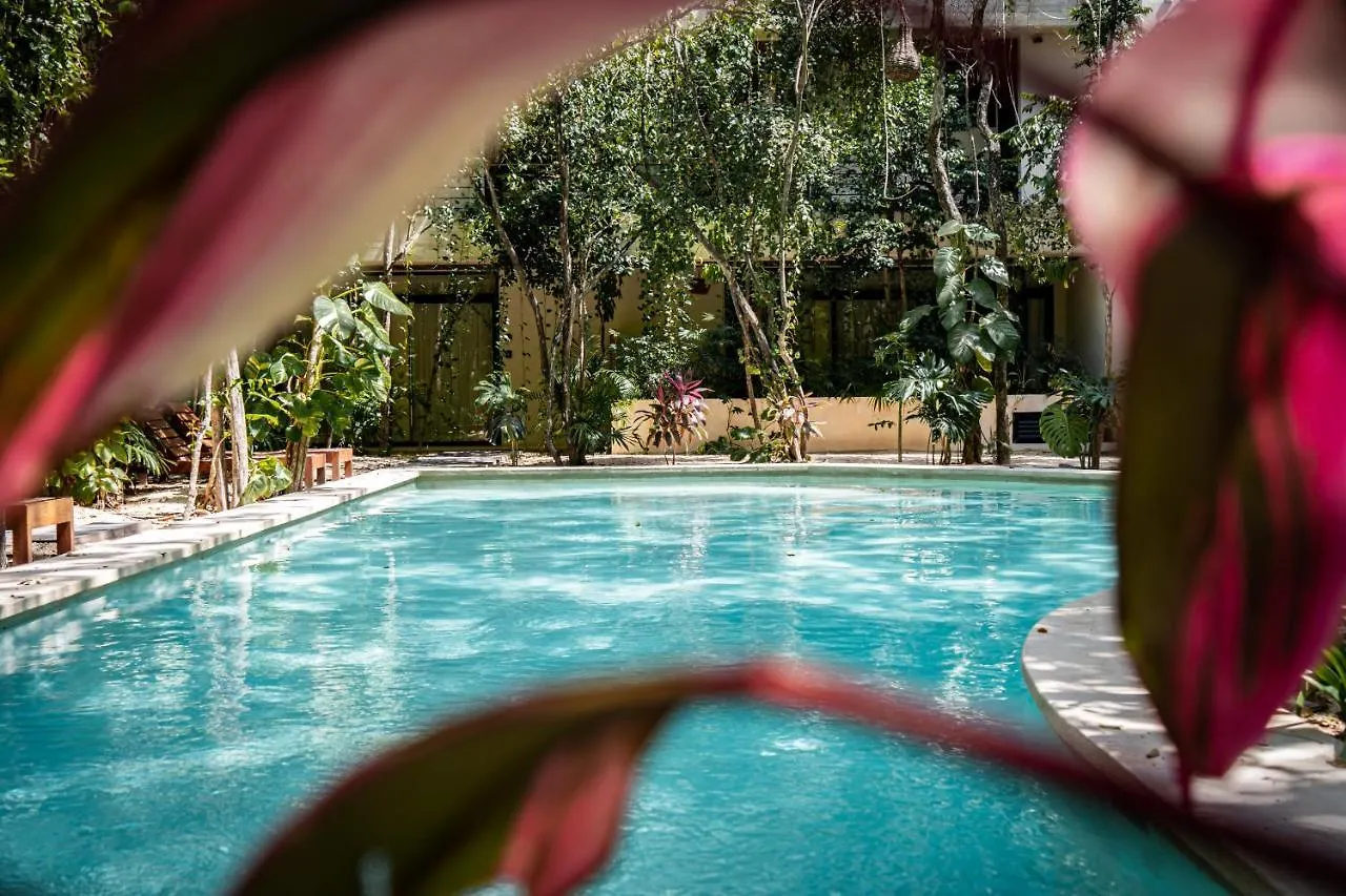 Apartmán Casai - Boho-Chic Penthouse With Private Pool In La Veleta Tulum