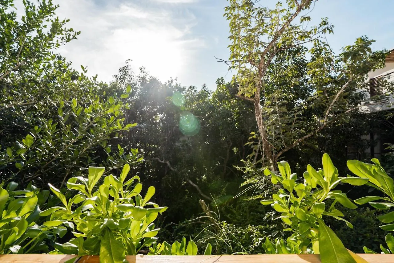 Apartmán Casai - Boho-Chic Penthouse With Private Pool In La Veleta Tulum 0*,