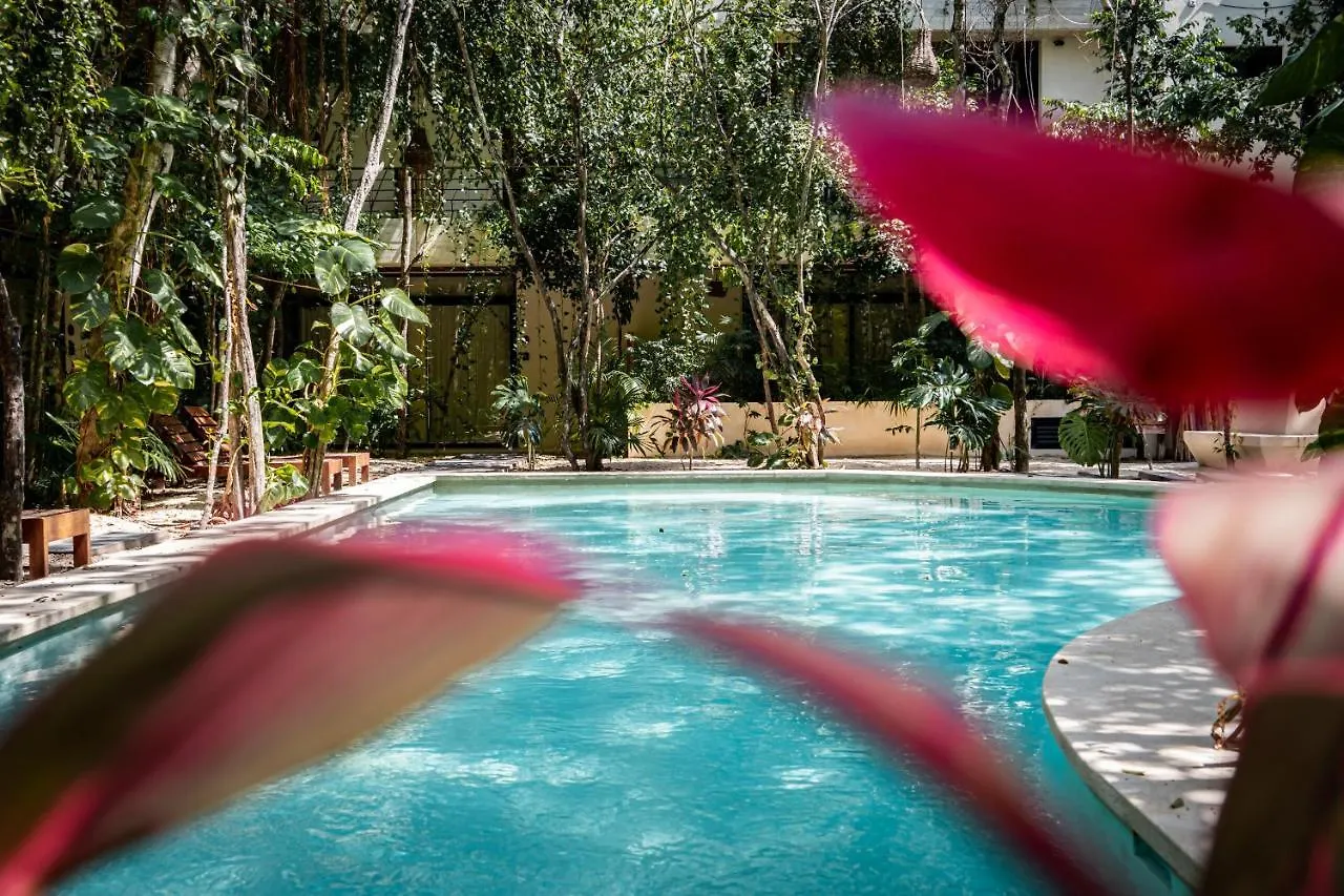 Apartmán Casai - Boho-Chic Penthouse With Private Pool In La Veleta Tulum