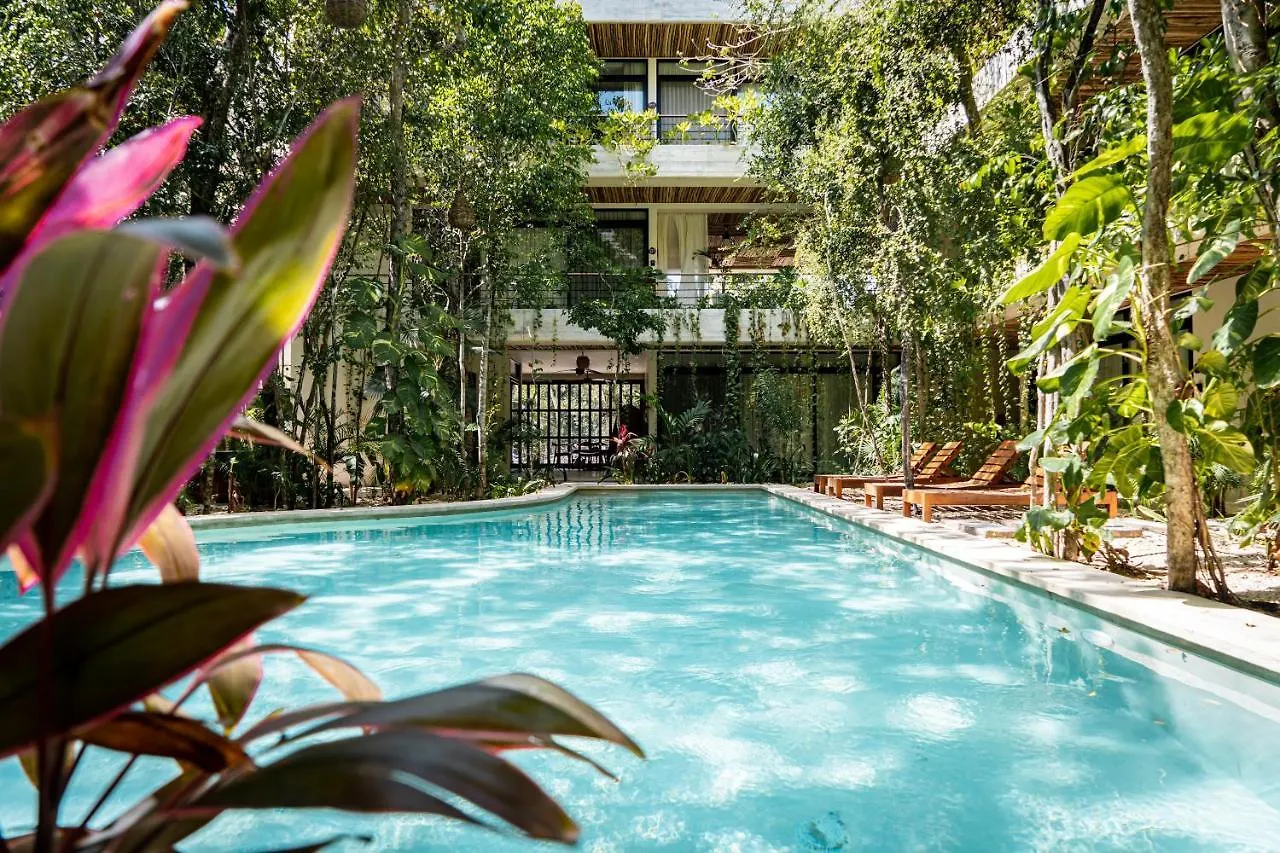 トゥルムCasai - Boho-Chic Penthouse With Private Pool In La Veletaアパートメント アパート トゥルム