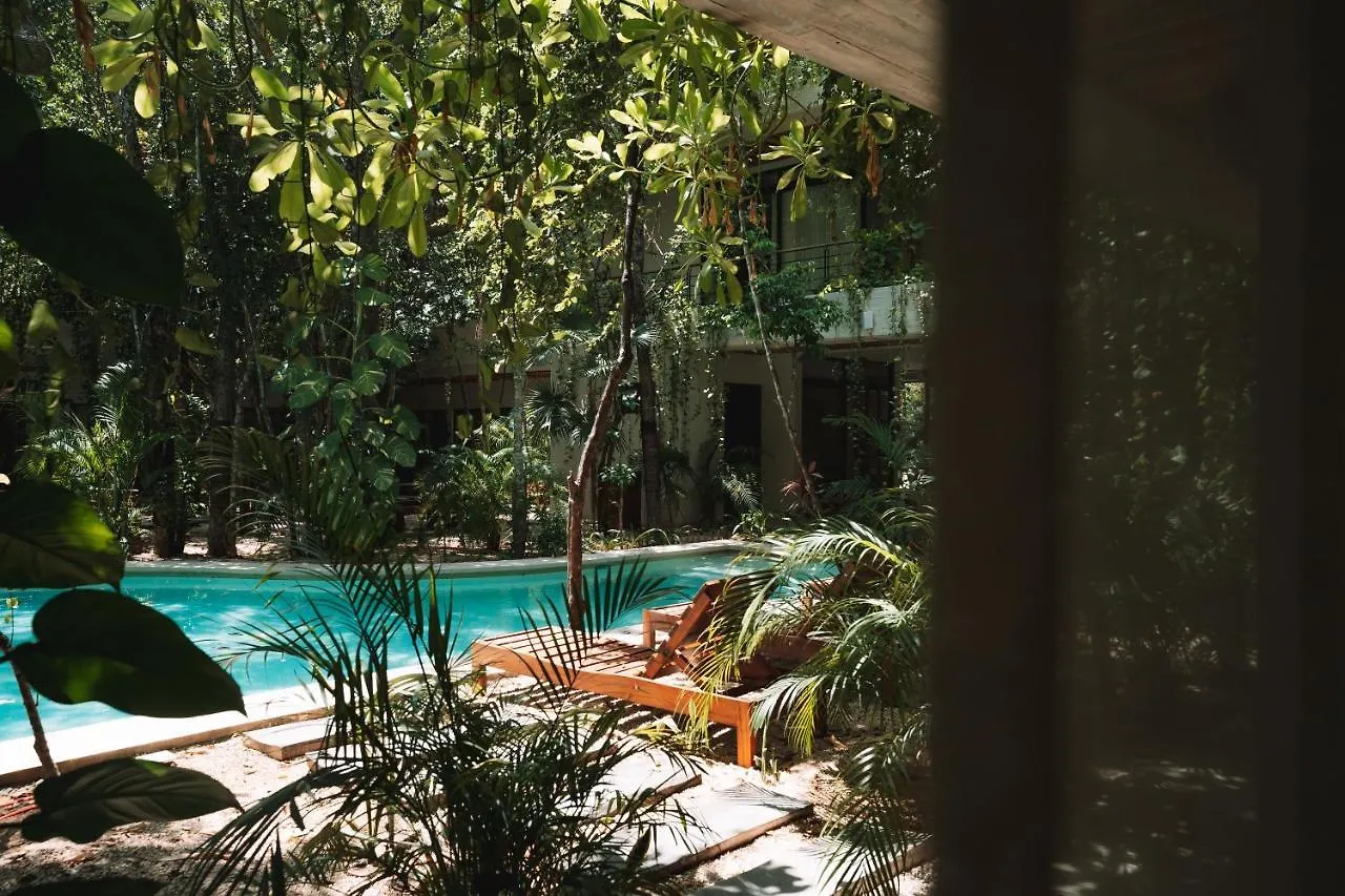トゥルムCasai - Boho-Chic Penthouse With Private Pool In La Veletaアパートメント アパート