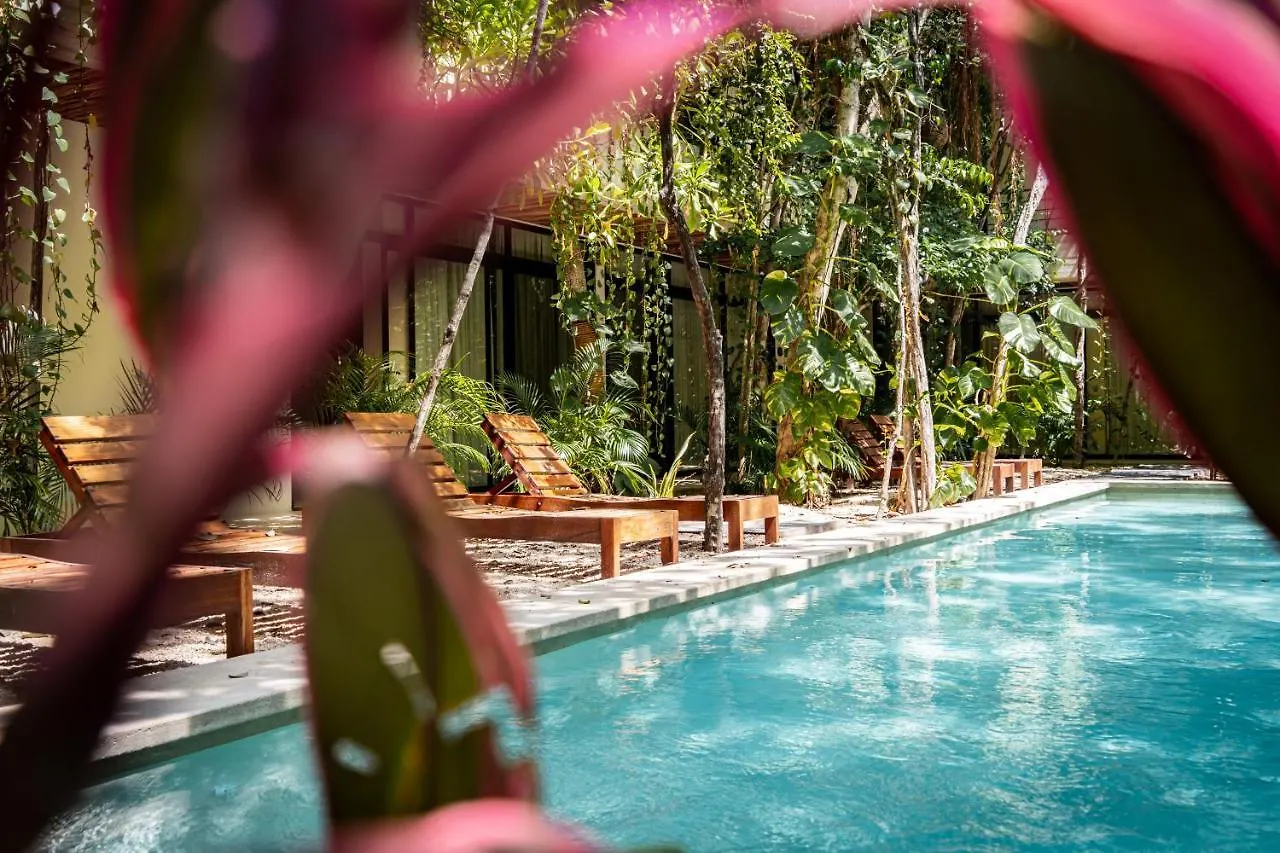 トゥルムCasai - Boho-Chic Penthouse With Private Pool In La Veletaアパートメント メキシコ