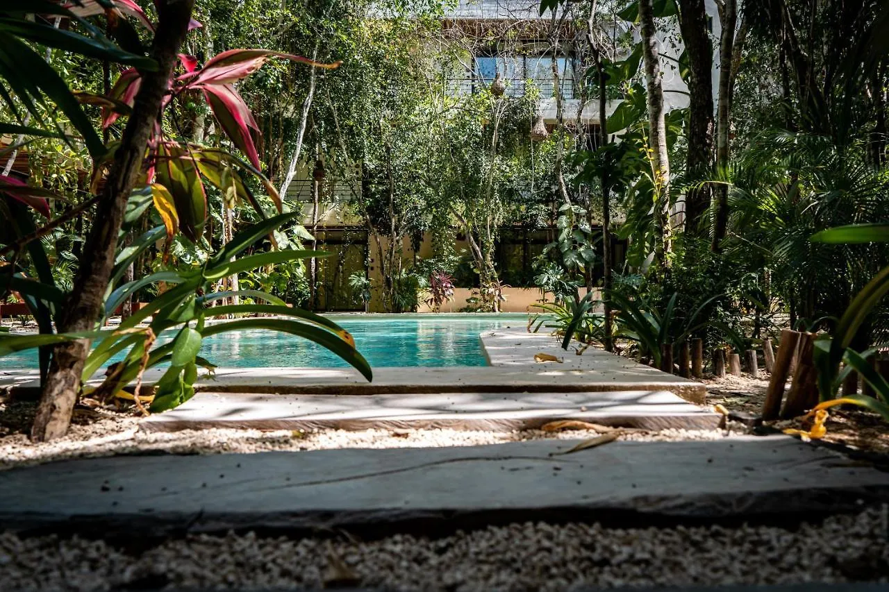 トゥルムCasai - Boho-Chic Penthouse With Private Pool In La Veletaアパートメント アパート