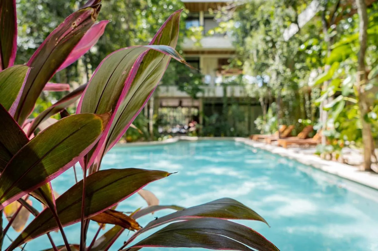 トゥルムCasai - Boho-Chic Penthouse With Private Pool In La Veletaアパートメント メキシコ