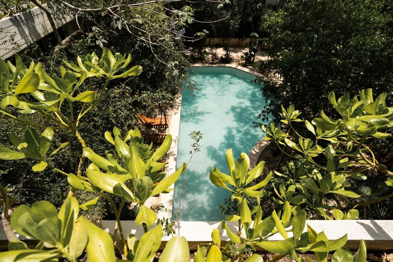 アパート トゥルムCasai - Boho-Chic Penthouse With Private Pool In La Veletaアパートメント メキシコ
